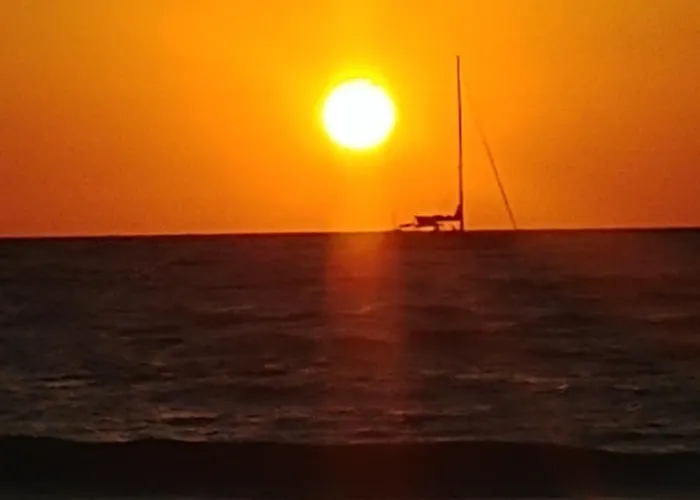 El Palmar Llc Whole House Clearwater Beach